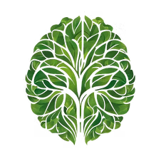 holisticbraincenter